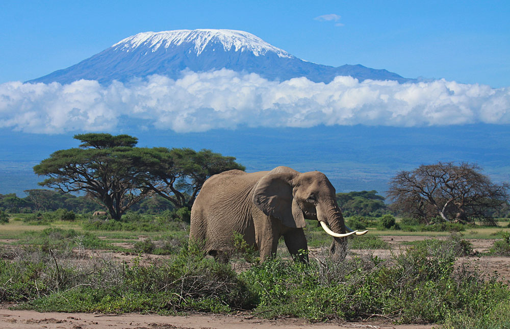 Amboseli National Park