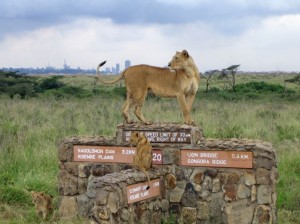 Nairobi National Park