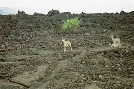 Shetani Lava Flow