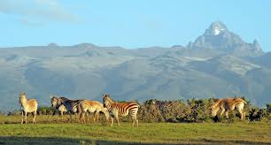 Mt Kenya Park